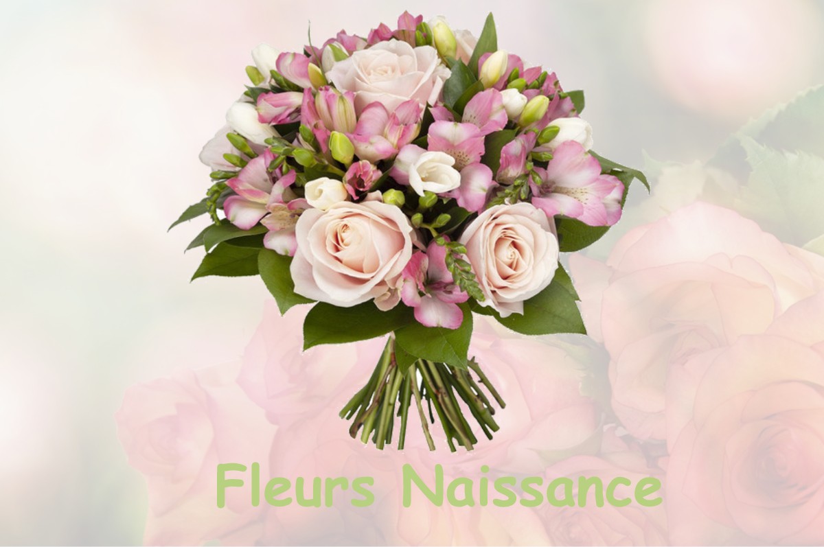 fleurs naissance TREMINIS