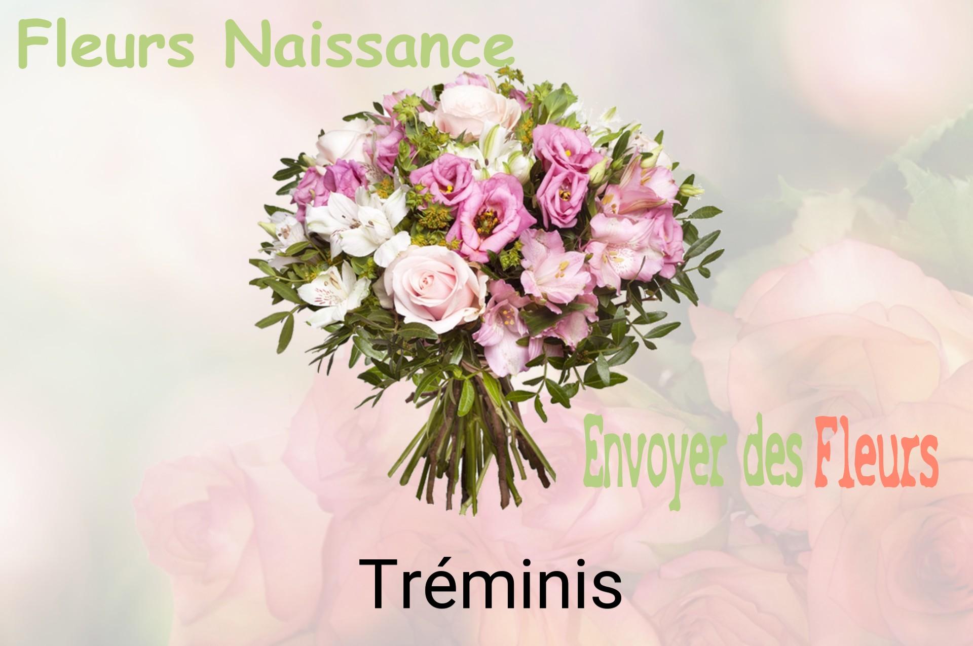 Bouquet de fleurs de naissance livré à Tréminis