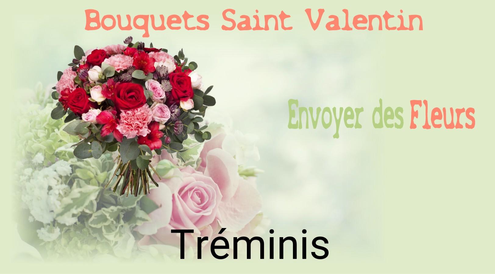 Roses de Saint-Valentin livrées à Tréminis