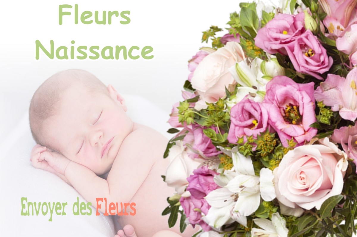 lIVRAISON FLEURS NAISSANCE à TREMINIS