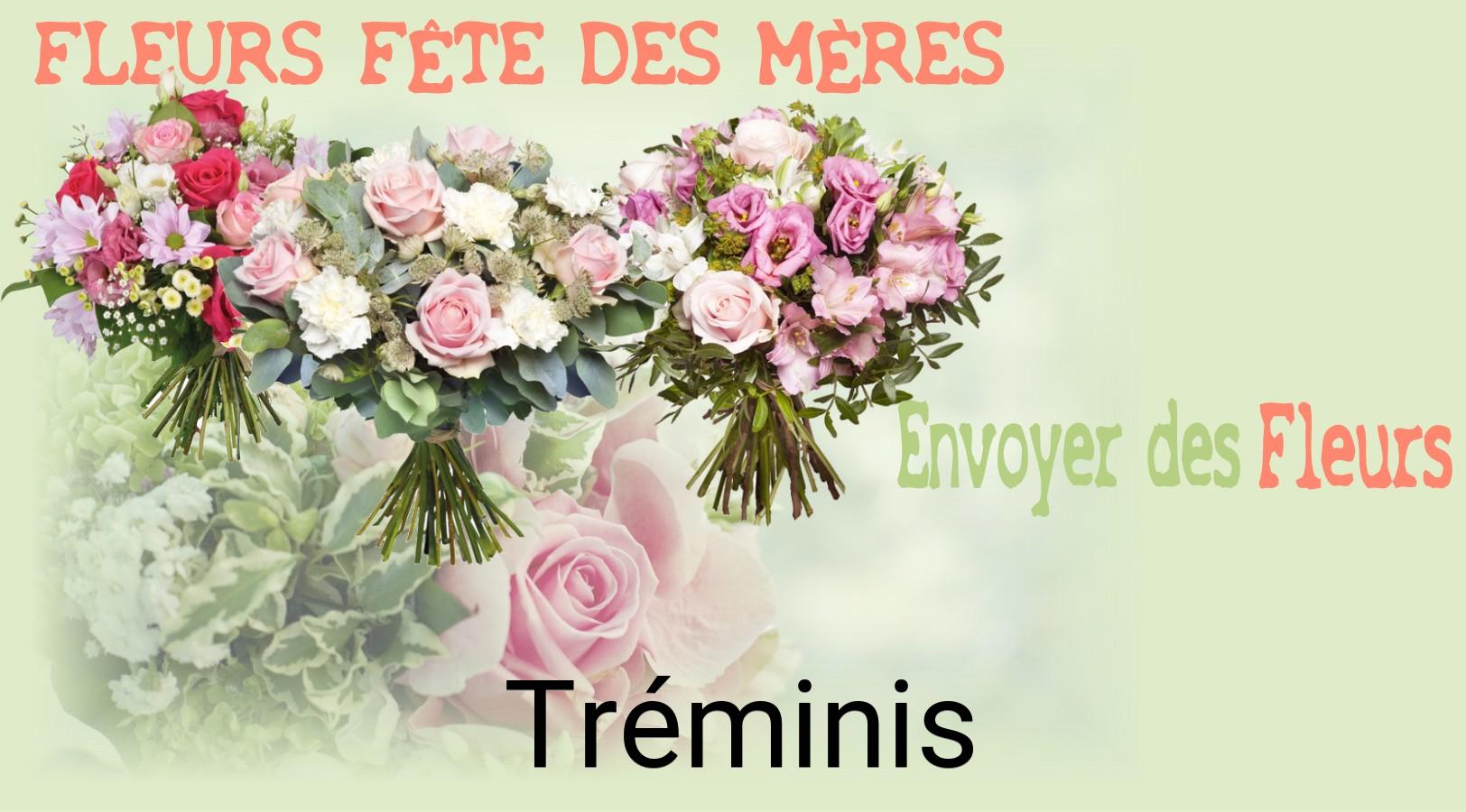 Bouquet de Fête des Mères livré à Tréminis